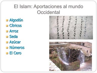 El Islam: Aportaciones al mundo
Occidental
 Algodón
 Cítricos
 Arroz
 Seda
 Azúcar
 Números
 El Cero
 