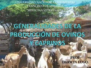 UNIVERSIDAD NACIONAL EXPERIMENTAL
FRANCISCO DE MIRANDA
MEDICINA VETERINARIA
PROF.
DARWIN LUGO.
 
