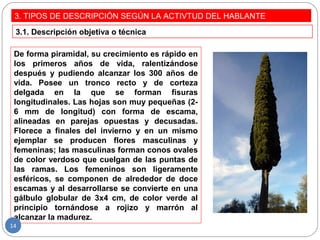 3. TIPOS DE DESCRIPCIÓN SEGÚN LA ACTIVTUD DEL HABLANTE
3.1. Descripción objetiva o técnica
De forma piramidal, su crecimiento es rápido en
los primeros años de vida, ralentizándose
después y pudiendo alcanzar los 300 años de
vida. Posee un tronco recto y de corteza
delgada en la que se forman fisuras
longitudinales. Las hojas son muy pequeñas (2-
6 mm de longitud) con forma de escama,
alineadas en parejas opuestas y decusadas.
Florece a finales del invierno y en un mismo
ejemplar se producen flores masculinas y
femeninas; las masculinas forman conos ovales
de color verdoso que cuelgan de las puntas de
las ramas. Los femeninos son ligeramente
esféricos, se componen de alrededor de doce
escamas y al desarrollarse se convierte en una
gálbulo globular de 3x4 cm, de color verde al
principio tornándose a rojizo y marrón al
alcanzar la madurez.
14
 