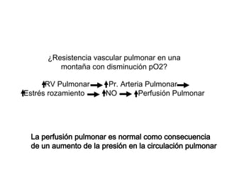 Normal Po2 Rv Temas 21, 22 y 23.ppt enfermeria anatomia | PPT