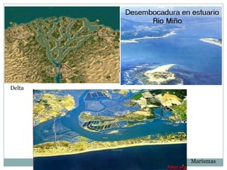 Delta

Marismas

 