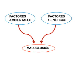 MALOCLUSIÓN
FACTORES
AMBIENTALES
FACTORES
GENÉTICOS
 