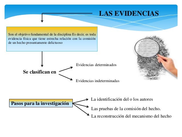 Temas 8 910. Indicios, Evidencias y Principios de la