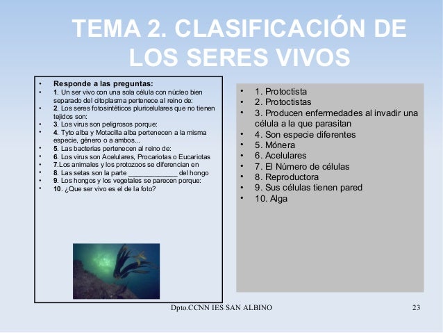 Que medio más eficaz para el tratamiento del hongo de las uñas
