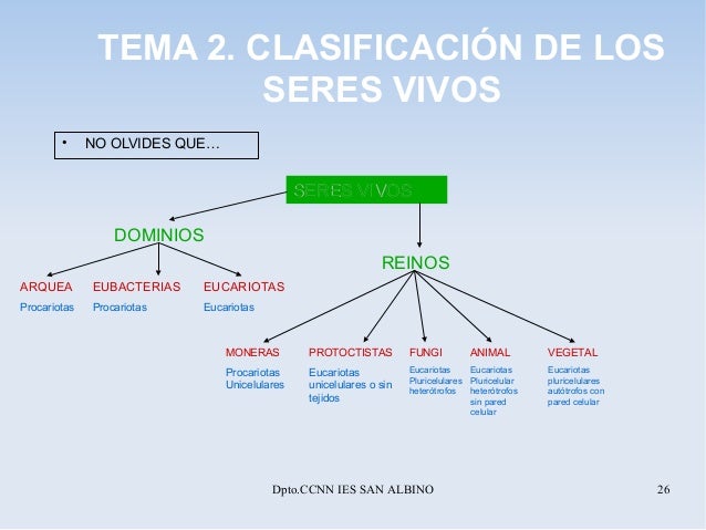 Temas8 9