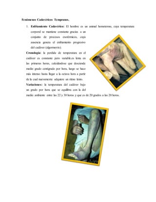 Fenómenos Cadavéricos Tempranos. 
1. Enfriamiento Cadavérico: El hombre es un animal homotermo, cuya temperatura 
corporal se mantiene constante gracias a un 
conjunto de procesos exotérmicos, cuya 
ausencia genera el enfriamiento progresivo 
del cadáver (algormortis). 
Cronología: la perdida de temperatura en el 
cadáver es constante pero variable.es lenta en 
las primeras horas, calculándose que desciende 
medio grado centígrado por hora, luego se hace 
más intenso hasta llegar a la octava hora a partir 
de la cual nuevamente adquiere un ritmo lento. 
Variaciones: la temperatura del cadáver bajo 
un grado por hora que se equilibra con la del 
medio ambiente entre las 22 y 30 horas y que es de 20 grados a las 20 horas. 
 
