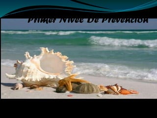 Primer Nivel De Prevención
 