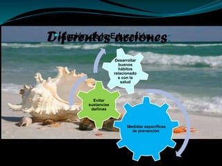 Diferentes acciones:
 Acción de la Educación:
Medidas específicas
de prevención
Evitar
sustancias
dañinas
 