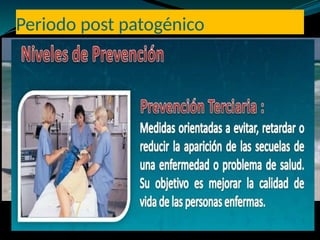 Periodo post patogénico
 