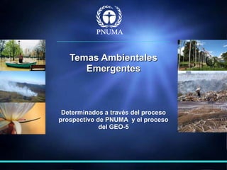 Temas Ambientales
      Emergentes



 Determinados a través del proceso
prospectivo de PNUMA y el proceso
             del GEO-5
 