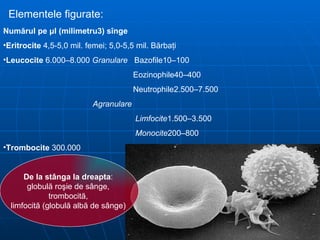 Elementele figurate: Numărul pe  μ l (milimetru3) s î nge Eritrocite  4,5-5,0 mil. femei; 5,0-5,5 mil. Bărbaţi Leucocite  6.000–8.000  Granulare   Bazofile10–100 Eozinophile40–400 Neutrophile2.500–7.500 Agranulare Limfocite 1.500–3.500 Monocite 200–800 Trombocite  300.000 De la stânga la dreapta :  globulă roşie de sânge,  trombocită,  limfocită (globulă albă de sânge)  
