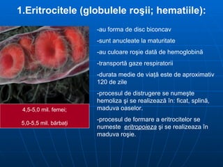 1.Eritrocitele (globulele ro ş ii; hematiile): -au forma de disc biconcav -sunt anucleate la maturitate -au culoare ro ş ie dat ă  de hemoglobin ă   -transport ă  gaze respiratorii -durata medie de via ţă  este de aproximativ 120 de zile -procesul de distrugere se nume ş te hemoliza  ş i se realizeaz ă   î n:   ficat, splin ă , maduva oaselor. -procesul de formare a eritrocitelor se numeste  eritropoieza   ş i se realizeaza  î n maduva ro ş ie. 4,5-5,0 mil. femei; 5,0-5,5 mil. bărbaţi 