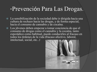 -Prevención Para Las Drogas.
 La sensibilización de la sociedad debe ir dirigida hacia una
cultura de rechazo hacia las drogas, y de forma especial,
hacia el consumo de cannabis y de cocaína.
 Los jóvenes deben empezar a tomar conciencia de que el
consumo de drogas como el cannabis y la cocaína, tanto
esporádico como habitual, puede conducirles al fracaso en
todos los órdenes de la vida (fracaso afectivo, laboral,
intelectual, social, etc...)
 
