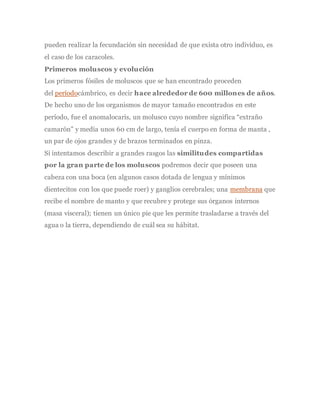 pueden realizar la fecundación sin necesidad de que exista otro individuo, es
el caso de los caracoles.
Primeros moluscos y evolución
Los primeros fósiles de moluscos que se han encontrado proceden
del períodocámbrico, es decir hace alrededor de 600 millones de años.
De hecho uno de los organismos de mayor tamaño encontrados en este
período, fue el anomalocaris, un molusco cuyo nombre significa “extraño
camarón” y medía unos 60 cm de largo, tenía el cuerpo en forma de manta ,
un par de ojos grandes y de brazos terminados en pinza.
Si intentamos describir a grandes rasgos las similitudes compartidas
por la gran parte de los moluscos podremos decir que poseen una
cabeza con una boca (en algunos casos dotada de lengua y mínimos
dientecitos con los que puede roer) y ganglios cerebrales; una membrana que
recibe el nombre de manto y que recubre y protege sus órganos internos
(masa visceral); tienen un único pie que les permite trasladarse a través del
agua o la tierra, dependiendo de cuál sea su hábitat.
 