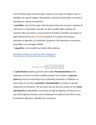 través de dichos poros penetra el agua e ingresa en el cuerpo. En algunos casos se
identifica una capa de colágeno denominada cutícula que puede llegar a sustituir al
pinacodermo, además de recubrirlo;
* mesohilo: entre las dos capas recién descritas existe una zona que se organiza de
manera laxa y se denomina mesohilo. En ella es posible hallar espículas del
esqueleto, fibras de soporte y un gran número de células ameboides que juegan un
papel fundamental en la secreción esqueletal, el transporte de desechos y
nutrientes, la digestión y la producción de gametos. Sus elementos se encuentran
sumergidos en un mesoglea coloidal;
* esqueleto: en el mesohilo hay muchas fibras elásticas
Lee todo en: Definición de poríferos- Qué es, Significado y
Concepto http://definicion.de/poriferos/#ixzz4AZCjQi14
D EF I N I C I Ó N D E PLATELMIN TO S
Un platelminto (palabra que deriva del vocablo Platyhelminthes) es un
organismo carente de vértebras también conocido con el nombre de gusano
plano que tiene la característica de ser acelomado protóstomo y triblástico. La
mayor parte de este clan es parásito y hermafrodita, y no posee ni aparato
respiratorio ni circulatorio. Por otra parte, hay que decir que muchas de las veinte
mil especies de platelmintos no cuentan con aparato digestivo ni tienen ano, ya
que el tubo digestivo funciona como cavidad gastrovascular (es decir, lleva a cabo
las funciones digestivas y distribuye los nutrientes).
 