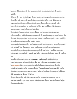 náuseas, dolores leves de tipo gastrointestinal, nerviosismo o falta de apetito
notable.
El hecho de verse afectados por dichas tenias trae consigo diversas consecuencias
siendo las más graves diversas lesiones cerebrales, daños en la vista como la
ceguera y también convulsiones de diferente alcance. En este caso, lo más
conveniente es acudir a un profesional médico que establezca el tratamiento
necesario para ponerle fin a esta infección.
No obstante, hay que subrayar que, al igual que sucede con otras muchas
enfermedades o patologías, existen una serie de remedios caseros con el mismo fin.
En concreto, en este caso se recomienda ingerir fruta fresca como fresas y también
otros alimentos como cebolla, nueces o ajos.
Los consejos fundamentales que hay que seguir para prevenir el verse afectadopor
este “animal” son el no comer carne cruda o que no esté convenientemente
cocinada, lavarse siempre las manos después de ir al baño y también mantener
estas en perfecto cuidado y lavado tras haber estado manipulando carne de cerdo o
res.
Los platelmintos permitieron que James McConnell realice distintos
experimentos con la intención de probar que existe una base química para
la memoria. Para esto, combinó una luz brillante con un choque eléctrico y
estudió la reacción de los gusanos planos. Tras varias pruebas, comprobó que los
platelmintos comenzaron a reaccionar a la luz de la misma forma que si hubieran
sido sometidos al choque eléctrico.
El experimentofue más allá: tras cortar a los gusanos en dos y dejar que se
regeneren, pudo verse cómo ambas mitades desarrollaban la reacción ante la luz y
el choque eléctrico.
 