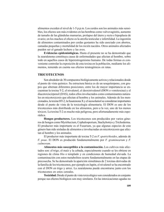 109
alimentos exceden el nivel de 1-5 p.p.m. Los cerdos son los animales más sensi-
bles, los efectos son más evidentes en las hembras como vulvovaginitis, aumento
de tamaño de las glándulas mamarias, prolapso del útero y recto e hipoplasia de
ovario; en los machos el efecto es la atrofia testicular e infertilidad. La ingestión
de alimentos contaminados por cerdas gestantes ha sido asociado con abortos,
camadas pequeñas y mortalidad de los recién nacidos. Otros animales afectados
pueden ser el ganado lechero y las aves.
Evidencias epidemiológicas. Hasta el presente no se ha demostrado que
la zearalenona constituya causa de enfermedades que afectan al hombre, sobre
todo en aquellos casos de hiperestrogenismo humano. De todas formas es con-
veniente controlar la exposición de esta toxina en la población, mediante los ali-
mentos, teniendo en cuenta sus efectos teratogénicos en ratas.
TRICOTECENOS
Son alrededor de 30 compuestos biológicamente activos y relacionados desde
el punto de vista químico. Su estructura básica es de un sesquiterpeno, con gru-
pos que alternan diferentes posiciones; entre los de mayor importancia se en-
cuentran la toxina T-2, el nivalenol, el deoxinivalenol (DON o vomitoxina) y el
diacetoxiscirpenol (DAS), todos ellos involucrados como contaminantes natura-
les en micotoxicosis que afectan al hombre y los animales. Además de los men-
cionados,latoxinaHT-2,lafusarenonaXyelneosolaniolseconsideranimportantes
desde el punto de vista de la toxicología alimentaria. El DON es uno de los
tricotecenos más distribuido en los alimentos, pero a la vez, uno de los menos
tóxicos. La toxina T-2 es mucho más peligrosa, pero afortunadamente más espo-
rádica.
Hongos productores. Los tricotecenos son producidos por varios géne-
ros de hongos como Myrirhecium, Cephalosporium, Stachybotrys y Trichoderma.
El productor más importante es el Fusarium, ya que algunas especies de este
género han sido aisladas de alimentos e involucradas en micotoxicosis que afec-
tan al hombre y los animales.
El productor más importante de toxina T-2 es F. spotrichioides, además de
F. poae. El DON es producido fundamentalmente por F. graminearum y F.
culmorum.
Alimentos más susceptibles a la contaminación. Los cultivos más afec-
tados son: el trigo, el maíz y la cebada, especialmente cuando se les obtiene en
regiones de clima frío o templado y en condiciones de humedad elevada. La
contaminación con estos metabolitos ocurre fundamentalmente en las etapas de
precosecha. Se ha demostrado la aparición simultánea de 2 toxinas derivadas de
la familia de los tricotecenos, por ejemplo en Japón, el nivalenol se ha encontrado
con el DON en trigo y arroz. La zearalenona puede encontrarse junto con los
tricotecenos en estos cereales.
Toxicidad. Desde el punto de vista toxicológico son considerados en conjunto
porque sus efectos biológicos son muy similares. En las intoxicaciones agudas no
 