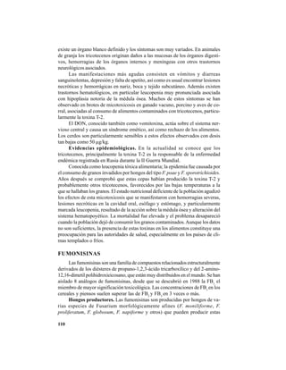 110
existe un órgano blanco definido y los síntomas son muy variados. En animales
de granja los tricotecenos originan daños a las mucosas de los órganos digesti-
vos, hemorragias de los órganos internos y meníngeas con otros trastornos
neurológicos asociados.
Las manifestaciones más agudas consisten en vómitos y diarreas
sanguinolentas, depresión y falta de apetito, así como es usual encontrar lesiones
necróticas y hemorrágicas en nariz, boca y tejido subcutáneo. Además existen
trastornos hematológicos, en particular leucopenia muy pronunciada asociada
con hipoplasia notoria de la médula ósea. Muchos de estos síntomas se han
observado en brotes de micotoxicosis en ganado vacuno, porcino y aves de co-
rral, asociadas al consumo de alimentos contaminados con tricotecenos, particu-
larmente la toxina T-2.
El DON, conocido también como vomitoxina, actúa sobre el sistema ner-
vioso central y causa un síndrome emético, así como rechazo de los alimentos.
Los cerdos son particularmente sensibles a estos efectos observados con dosis
tan bajas como 50 µg/kg.
Evidencias epidemiológicas. En la actualidad se conoce que los
tricotecenos, principalmente la toxina T-2 es la responsable de la enfermedad
endémica registrada en Rusia durante la II Guerra Mundial.
Conocida como leucopenia tóxica alimentaria; la epidemia fue causada por
el consumo de granos invadidos por hongos del tipo F. poae y F. sporotrichioides.
Años después se comprobó que estas cepas habían producido la toxina T-2 y
probablemente otros tricotecenos, favorecidos por las bajas temperaturas a la
que se hallaban los granos. El estado nutricional deficiente de la población agudizó
los efectos de esta micotoxicosis que se manifestaron con hemorragias severas,
lesiones necróticas en la cavidad oral, esófago y estómago, y particularmente
marcada leucopenia, resultado de la acción sobre la médula ósea y alteración del
sistema hematopoyético. La mortalidad fue elevada y el problema desapareció
cuando la población dejó de consumir los granos contaminados.Aunque los datos
no son suficientes, la presencia de estas toxinas en los alimentos constituye una
preocupación para las autoridades de salud, especialmente en los países de cli-
mas templados o fríos.
FUMONISINAS
Lasfumonisinassonunafamiliadecompuestosrelacionadosestructuralmente
derivados de los diésteres de propano-1,2,3-ácido tricarboxílico y del 2-amino-
12,16-dimetil polihidroxieicosano, que están muy distribuidos en el mundo. Se han
aislado 8 análogos de fumonisinas, desde que se descubrió en 1988 la FB1,
el
miembro de mayor significación toxicológica. Las concentraciones de FB1
en los
cereales y piensos suelen superar las de FB2
y FB3
en 3 veces o más.
Hongos productores. Las fumonisinas son producidas por hongos de va-
rias especies de Fusarium morfológicamente afines (F. moniliforme, F.
proliferatum, F. globosum, F. napiforme y otros) que pueden producir estas
 