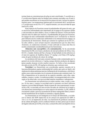 111
toxinas hasta en concentraciones de g/kg en maíz esterilizado. F. moniliforme y
F. proliferatum figuran entre los hongos más comunes asociados con el maíz y
que pueden encontrarse en la mayoría de los granos de maíz, incluso los aparen-
temente sanos. Las temperaturas óptimas para el crecimiento del F. moliniforme
y F. proliferatum son de 30 a 15 o
C, respectivamente, con una actividad de agua
entre 0,93 y 0,98.
Estas especies de Fusarium causan la podredumbre del grano de maíz, que
es una de las enfermedades más importantes de la espiga en las regiones cálidas
y está asociada con años cálidos y secos y/o daños de insectos. Existe una fuerte
relación entre los daños por insectos y la podredumbre del grano por Fusarium.
En espigas de maíz contaminadas naturalmente con F. moliniforme se observó
gran influencia de las condiciones ambientales en la infestación de la espiga y la
acumulación de fumonisinas. Desde que comenzó la vigilancia en los EE.UU.,
los años cálidos y secos arrojan mayores concentraciones que los años fríos.
Asimismo, en condiciones normales, el maíz cultivado en zonas más frías no
resulta contaminado considerablemente por las fumonisinas.
Alimentos más susceptibles a la contaminación. Se ha encontrado
fumonisina B1
(FB1
) en el maíz y productos de maíz procedentes de África,Asia,
EE.UU., Canadá, América del Sur y Europa. Se han hallado niveles altísimos en
el maíz de regiones de Sudáfrica (hasta 117 mg/kg) y de China (150 mg/kg),
zonas de gran incidencia de cáncer de esófago.
Los productos del maíz para consumo humano están contaminados por lo
general con niveles inferiores a 1 mg/kg, aunque distintos productos de algunos
países pueden alcanzar niveles muchos mayores. En Italia se han encontrado
elevados niveles de FB1
(20 mg/kg) en alimentos que contienen maíz.
Toxicidad. Las fumonisinas son consideradas agentes causales de la
leucoencefalomalacia equina (enfermedad del cerebro que suele ser fatal) y del
síndrome de edema pulmonar porcino (inflamación de los pulmones y del tórax);
ambos casos están asociados con el consumo de piensos que contienen maíz. La
FB1
es hepatotóxica en la mayoría de las especies animales, entre ellas, ratas,
caballos, conejos y cerdos. La embriotoxicidad y la teratogenicidad solo se dan,
según se ha observado, con una toxicidad materna simultánea o subsiguiente.
Las fumonisinas son nefrotóxicas en cerdos machos, ratas, ovejas y cone-
jos. En las ratas y conejos la toxicidad renal se presenta con dosis inferiores
respecto a la toxicidad del hígado. Desde el punto de vista experimental, la expo-
sición a FB1
va asociada con unos niveles elevados de colesterol en la sangre y
con alteraciones inmunológicas en varias especies de animales. La FB1
inhibe el
crecimiento celular y provoca acumulación de bases espingoides libres y trastor-
nos del metabolismo de los lípidos en animales y algunas plantas.
Las fumonisinas no son mutágenas en el ensayo de Salmonella, y no indu-
cen la síntesis del ADN imprevista en los ensayos de reparación de ADN in
vitro e in vivo en hepatocitos de ratas. Las fumonisina B1
producen carcinoma
de las células del hígado y de los conductos biliares en ratas; parece que el cáncer
de hígado inducido por la FB1
en las ratas, se desarrolla sobre una hepatitis tóxica
 