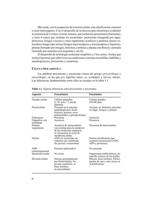 6
Más tarde, con la aceptación de la teoría celular, esta clasificación comenzó
a crear interrogantes. Con el desarrollo de la microscopia electrónica se planteó
la existencia de 5 reinos: el reino monera, que incluía los procariontes (bacterias),
y otros 4 reinos que incluían los eucariontes: protoctista (integrado por algas,
protozoos, hongos viscosos y otros organismos acuáticos y parásitos menos co-
nocidos), hongo (que incluye hongos macroscópicos y microscópicos y líquenes),
plantae (formado por musgos, helechos, coníferas y plantas con flores) y animalia
(formado por animales con esqueleto y sin él).
El desarrollo de la biología molecular simplificó a 3 los reinos: Archea que
incluye bacterias que sobreviven en condiciones extremas (termófilas, halófilas y
metanogénicas), procariotes y eucariotes.
CÉLULA PROCARIÓTICA
Las palabras procarionte y eucarionte vienen del griego: procarithique y
eucarithique, en las que pro significa antes; eu, verdadero y karion, núcleo.
Las diferencias fundamentales entre ellas se recogen en la tabla 1.1.
Tabla 1.1. Algunas diferencias entre procariontes y eucariontes
Aspectos Procariontes Eucariontes
Tamaño celular Células pequeñas Células grandes
(1-10 µm)<2 µmde (10-100 µm)
diámetro
Pared celular Presente en la mayoría Ausente en animales; presente
(peptidoglicano, ácido en algas, hongos y plantas
teicoico, porinas, otros
polisacáridos y glicoproteínas)
Endospora Presencia Ausencia
Organelos con Ausencia Presencia
membrana
Sistema Ausencia de mitocondrias. Presencia de mitocondrias
respiratorio Las enzimas para la oxidación
de las moléculas orgánicas
se encuentran al nivel de
membrana celular
Núcleo ADN en nucleoides no Núcleo membranoso que
rodeados por membrana. contiene cromosomas (ADN,
No poseen cromosomas ARN y proteínas)
ADN Presenta (plásmidos) No presenta
extracromosomal
Desarrollo tisular No existe Organismos multicelulares, de-
sarrollo extenso de los tejidos
División celular Directa, principalmente Mitosis, huso mitótico. Partici-
por fisión binaria. No pación de uno y otro sexos en
poseen centríolos, ni la fertilización
huso mitótico,
ni microtúbulos
 