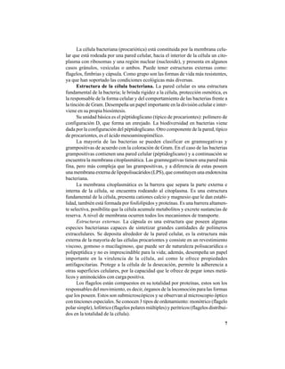 7
La célula bacteriana (procariótica) está constituida por la membrana celu-
lar que está rodeada por una pared celular, hacia el interior de la célula un cito-
plasma con ribosomas y una región nuclear (nucleoide), y presenta en algunos
casos gránulos, vesículas o ambos. Puede tener estructuras externas como:
flagelos, fimbrias y cápsula. Como grupo son las formas de vida más resistentes,
ya que han soportado las condiciones ecológicas más diversas.
Estructura de la célula bacteriana. La pared celular es una estructura
fundamental de la bacteria; le brinda rigidez a la célula, protección osmótica, es
la responsable de la forma celular y del comportamiento de las bacterias frente a
la tinción de Gram. Desempeña un papel importante en la división celular e inter-
viene en su propia biosíntesis.
Su unidad básica es el péptidoglicano (típico de procariontes): polímero de
configuración D, que forma un enrejado. La biodiversidad en bacterias viene
dada por la configuración del péptidoglicano. Otro componente de la pared, típico
de procariontes, es el ácido mesoaminopimélico.
La mayoría de las bacterias se pueden clasificar en gramnegativas y
grampositivas de acuerdo con la coloración de Gram. En el caso de las bacterias
grampositivas contienen una pared celular (péptidoglicano) y a continuación se
encuentra la membrana citoplasmática. Las gramnegativas tienen una pared más
fina, pero más compleja que las grampositivas, y a diferencia de estas poseen
una membrana externa de lipopolisacáridos (LPS), que constituyen una endotoxina
bacteriana.
La membrana citoplasmática es la barrera que separa la parte externa e
interna de la célula, se encuentra rodeando al citoplasma. Es una estructura
fundamental de la célula, presenta cationes calcio y magnesio que le dan estabi-
lidad, también está formada por fosfolípidos y proteínas. Es una barrera altamen-
te selectiva, posibilita que la célula acumule metabolitos y excrete sustancias de
reserva. A nivel de membrana ocurren todos los mecanismos de transporte.
Estructuras externas. La cápsula es una estructura que poseen algunas
especies bacterianas capaces de sintetizar grandes cantidades de polímeros
extracelulares. Se deposita alrededor de la pared celular, es la estructura más
externa de la mayoría de las células procariontes y consiste en un revestimiento
viscoso, gomoso o mucilaginoso, que puede ser de naturaleza polisacarídica o
polipeptídica y no es imprescindible para la vida; además, desempeña un papel
importante en la virulencia de la célula, así como le ofrece propiedades
antifagocitarias. Protege a la célula de la desecación, permite la adherencia a
otras superficies celulares, por la capacidad que le ofrece de pegar iones metá-
licos y aminoácidos con carga positiva.
Los flagelos están compuestos en su totalidad por proteínas, estos son los
responsables del movimiento, es decir, órganos de la locomoción para las formas
que los poseen. Estos son submicroscópicos y se observan al microscopio óptico
con tinciones especiales. Se conocen 3 tipos de ordenamiento: monótrico (flagelo
polar simple), lofótrico (flagelos polares múltiples) y perítricos (flagelos distribui-
dos en la totalidad de la célula).
 