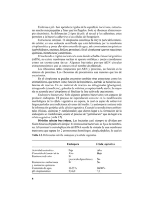 8
Fimbrias o pili. Son apéndices rígidos de la superficie bacteriana, estructu-
ras mucho más pequeñas y finas que los flagelos. Solo se observan al microsco-
pio electrónico. Se diferencian 2 tipos de pili: el sexual y las adhesinas, estas
permiten a la bacteria adherirse a las células del hospedero.
Estructuras internas. El citoplasma constituye la mayor parte del conteni-
do celular, es una sustancia semifluida que está delimitada por la membrana
citoplasmática y posee elevado contenido de agua, así como sustancias químicas
(carbohidratos, enzimas, lípidos, proteínas). En el citoplasma ocurren reacciones
químicas, metabólicas y anabólicas.
El nucleoide o región nuclear es la zona donde se halla el material genético
(ADN), no existe membrana nuclear ni aparato mitótico y puede considerarse
como un cromosoma único. Algunas bacterias poseen ADN circular
extracromosómico que se conoce con el nombre de plásmido.
Los ribosomas están compuestos por ARN y proteínas, su función es la
síntesis de proteínas. Los ribosomas de procariontes son menores que los de
eucariontes.
En el citoplasma se pueden encontrar también otras estructuras como los
cromatóforos, que tienen como función la fotosíntesis, además se hallan las sus-
tancias de reserva. Existe material de reserva no nitrogenado (glucógeno),
nitrogenado (cianoficina), gránulos de volutina y corpúsculos de azufre; la mayo-
ría se acumula en el citoplasma al finalizar la fase activa de crecimiento.
Endospora bacteriana. Solo algunos géneros bacterianos son capaces de
producir endospora. El proceso de esporulación consiste en la modificación
morfológica de la célula vegetativa en espora, la cual es capaz de sobrevivir
largos períodos en condiciones adversas del medio. La endospora contiene toda
la información genética de la célula vegetativa. Cuando las condiciones ambien-
tales (físicas, químicas y nutricionales) que dieron lugar a la formación de la
endospora se reestablecen, ocurre el proceso de "germinación" que da lugar a la
célula vegetativa (tabla 1.2).
División celular bacteriana. Las bacterias casi siempre se dividen por
fisión binaria o bipartición simple. El cromosoma bacteriano se fija a la membra-
na. Al terminar la autoduplicación del DNA sucede la síntesis de una membrana
transversa que separa los 2 cromosomas homólogos, desplazándolos, lo cual es
Tabla 1.2. Diferencias entre la endospora y la célula vegetativa
Endospora Célula vegetativa
Actividad enzimática Baja Alta
Contenido de iones calcio Alto Bajo
Resistencia al calor Sí
(por ácido dipicolínico) No
Resistencia a radiaciones Sí No
y sustancias químicas
Contenido de agua 10-25% 80-90%
pH citoplasmático 5,5-6,0 7,0
 