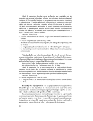 236
Modo de trasmisión. Los huevos de las Taenias son expulsados con las
heces de una persona infectada e infectan los animales, donde producen el
cisticerco (C. bovis en los bovinos) en la masa muscular, con mayor frecuencia
en los maseteros. El hombre adquiere la infección por el consumo de carne mal
cocida que contiene cisticercos, causando la infección intestinal de las tenias.
Por la vía ano-mano-boca o la ingestión de agua o alimentos contaminados con
los huevos; el hombre puede adquirir la cisticersosis humana, debido a que el
embrión sale del huevo, atraviesa la pared intestinal, pasa a los vasos linfáticos y
llega a varios órganos como el cerebro.
Medidas preventivas:
− Evitar la contaminación de la tierra, el agua o los alimentos con las heces del
hombre.
− Cocción completa de la carne de res y cerdo.
− Prohibir la utilización de residuales líquidos para el riego de los pastizales o de
los huertos.
− La congelación de la carne durante más de 4 días destruye los cisticercos.
− La inspección posmortem en los mataderos debe evitar el consumo de carnes
contaminadas.
Triquinosis. Es una infección causada por Trichinella spiralis, frecuen-
temente asintomática, puede causar de acuerdo con la localización dolores mus-
culares, debilidad, manifestaciones oculares, síntomas intestinales por los vermes
adultos, incluso la muerte por debilidad del miocardio.
Reservorio. Cerdos fundamentalmente, también otros animales.
Período de incubación. Casi siempre entre 8 y 45 días.
Modo de trasmisión. Por la ingestión de carne de cerdo mal cocida que
contienen larvas viables. En el intestino las larvas se transforman en vermes
adultos, se reproducen y la hembra libera larvas que penetran los vasos linfáticos
y se diseminan por todo el organismo y se encapsulan en varios órganos.
Medidas preventivas:
− Cocción completa de la carne de cerdo.
− La congelación a -25 o
C durante 10 días destruye los quistes o durante 30 días
a -10 o
C.
Encefalopatía espongiformes. Son un grupo de trastornos degenerativos
del cerebro que se han presentado en varias especies desde hace varios años;
aunque en estos momentos constituyen un gran problema por aspectos no cono-
cidos y dudas que han causado grandes pérdidas económicas.
Se caracteriza en el examen microscópico por presentar un aspecto de la
sustancia gris parecido al de una esponja. Se acepta que el agente causal no es
una bacteria, tampoco es un virus, y es conocido como un prion, con las caracte-
rísticas de no ser observable o cultivable mediante las técnicas tradicionales,
además de ser muy resistente al calor y a los agentes desinfectantes.
 
