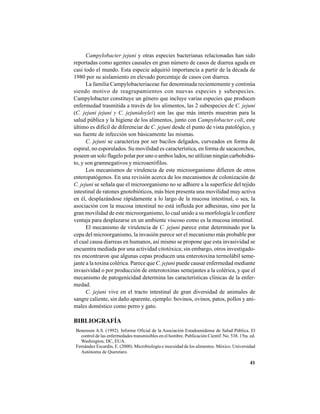 41
Campylobacter jejuni y otras especies bacterianas relacionadas han sido
reportadas como agentes causales en gran número de casos de diarrea aguda en
casi todo el mundo. Esta especie adquirió importancia a partir de la década de
1980 por su aislamiento en elevado porcentaje de casos con diarrea.
La familia Campylobacteriaceae fue denominada recientemente y continúa
siendo motivo de reagrupamientos con nuevas especies y subespecies.
Campylobacter constituye un género que incluye varias especies que producen
enfermedad trasmitida a través de los alimentos, las 2 subespecies de C. jejuni
(C. jejuni jejuni y C. jejunidoylei) son las que más interés muestran para la
salud pública y la higiene de los alimentos, junto con Campylobacter coli, este
último es difícil de diferenciar de C. jejuni desde el punto de vista patológico, y
sus fuente de infección son básicamente las mismas.
C. jejuni se caracteriza por ser bacilos delgados, curveados en forma de
espiral, no esporulados. Su movilidad es característica, en forma de sacacorchos,
poseen un solo flagelo polar por uno o ambos lados, no utilizan ningún carbohidra-
to, y son gramnegativos y microaerófilos.
Los mecanismos de virulencia de este microorganismo difieren de otros
enteropatógenos. En una revisión acerca de los mecanismos de colonización de
C. jejuni se señala que el microorganismo no se adhiere a la superficie del tejido
intestinal de ratones gnotobióticos, más bien presenta una movilidad muy activa
en él, desplazándose rápidamente a lo largo de la mucosa intestinal, o sea, la
asociación con la mucosa intestinal no está influida por adhesinas, sino por la
gran movilidad de este microorganismo, lo cual unido a su morfología le confiere
ventaja para desplazarse en un ambiente viscoso como es la mucosa intestinal.
El mecanismo de virulencia de C. jejuni parece estar determinado por la
cepa del microorganismo, la invasión parece ser el mecanismo más probable por
el cual causa diarreas en humanos, así mismo se propone que esta invasividad se
encuentra mediada por una actividad citotóxica; sin embargo, otros investigado-
res encontraron que algunas cepas producen una enterotoxina termolábil seme-
jante a la toxina colérica. Parece que C. jejuni puede causar enfermedad mediante
invasividad o por producción de enterotoxinas semejantes a la colérica, y que el
mecanismo de patogenicidad determina las características clínicas de la enfer-
medad.
C. jejuni vive en el tracto intestinal de gran diversidad de animales de
sangre caliente, sin daño aparente, ejemplo: bovinos, ovinos, patos, pollos y ani-
males doméstico como perro y gato.
BIBLIOGRAFÍA
Benenson A.S. (1992). Informe Oficial de la Asociación Estadounidense de Salud Pública. El
control de las enfermedades transmisibles en el hombre. Publicación Cientif. No. 538. 15ta. ed.
Washington, DC, EUA.
Fernández Escardín, E. (2000). Microbiología e inocuidad de los alimentos. México. Universidad
Autónoma de Queretaro.
 