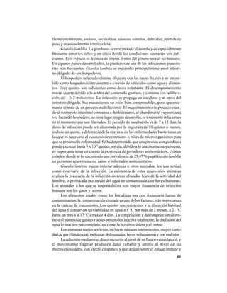 61
fiebre intermitente, sudores, escalofríos, náuseas, vómitos, debilidad, pérdida de
peso y ocasionalmente ictericia leve.
Giardia lamblia. La giardiasis ocurre en todo el mundo y es especialmente
frecuente entre los niños y en sitios donde las condiciones sanitarias son defi-
cientes. Esta especie es la única de interés dentro del género para el ser humano.
En algunos países desarrollados, la giardiasis es una de las infecciones parasita-
rias más frecuentes. Giardia lamblia se encuentra principalmente en el intesti-
no delgado de sus hospederos.
El hospedero infectado elimina el quiste con las heces fecales y es trasmi-
tido a otro hospedero directamente o a través de vehículos como agua y alimen-
tos. Diez quistes son suficientes como dosis infectante. El desenquistamiento
inicial ocurre debido a la acidez del contenido gástrico, y culmina con la libera-
ción de 1 ó 2 trofozoitos. La infección se propaga en duodeno y el resto del
intestino delgado. Sus mecanismos no están bien comprendidos, pero aparente-
mente se trata de un proceso multifactorial. El enquistamiento se produce cuan-
do el contenido intestinal comienza a deshidratarse, al abandonar el yeyuno; una
vez fuera del hospedero, no tiene lugar ningún desarrollo, es totalmente infectantes
en el momento que son liberados. El período de incubación es de 7 a 13 días, la
dosis de infección puede ser alcanzada por la ingestión de 10 quistes o menos,
incluso un quiste, a diferencia de la mayoría de las enfermedades bacterianas en
las que es necesario el consumo de centenares o miles de microorganismos para
que se presente la enfermedad. Se ha determinado que una persona con giardiasis
puede excretar hasta 9 x 10 8
quistes por día, debido a lo anteriormente expuesto,
es importante tener en cuenta la existencia de portadores asintomáticos; existen
estudios donde se ha encontrado una prevalencia de 25,47 % para Giardia lamblia
en personas aparentemente sanas o infectados asintomáticos.
Giardia lamblia puede infectar además a otros animales, los que actúan
como reservorio de la infección. La existencia de estos reservorios animales
explica la presencia de la infección en áreas ubicadas lejos de la actividad del
hombre, o provocada por medio del agua no contaminada con heces humanas.
Los animales a los que se responsabiliza con mayor frecuencia de infección
humana son los gatos y perros.
Los alimentos crudos como las hortalizas son con frecuencia fuente de
contaminantes, la contaminación cruzada es uno de los factores más importantes
en la cadena de transmisión. Los quistes son resistentes a la cloración habitual
del agua y conservan su viabilidad en agua a 8 ºC por más de 2 meses, a 21 ºC
hasta un mes y a 37 ºC cerca de 4 días. La congelación y descongelación dismi-
nuye el número de quistes viables pero no los inactiva totalmente, la ebullición del
agua lo inactiva por completo, así como la luz ultravioleta y el ozono.
Los síntomas suelen ser leves, incluyen náuseas intermitentes, mayor canti-
dad de gas (flatulencia), molestias abdominales, heces voluminosas y con mal olor.
La adhesión mediante el disco suctorio, al nivel de su flanco ventrolateral, y
el movimiento flagelar producen daño variable y atrofia al nivel de las
microvellosidades, con efecto citopático y que actúan sobre el estado inmune y
 