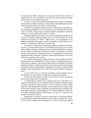 65
los pacientes con SIDA, la diarrea es severa, puede llevarlos a la muerte y se
reporta hasta 50 % de mortalidad. La invasión del sistema pulmonar también
puede ser fatal en este grupo de personas.
Trichuris trichura. Se encuentra principalmente en el trópico y subtrópico,
donde la falta de medidas sanitarias, el clima cálido y húmedo brindan las condi-
ciones necesarias para que los huevos sean incubados.
El hombre se contamina al ingerir el huevo embrionado en su primer esta-
dio; cuando pasa al duodeno la larva es liberada, ocurre un período de crecimien-
to de 2 a 10 días y luego migra al intestino delgado alcanzando su estado de
adultez en 3 meses, puede sobrevivir de 7 a 10 años.
El parásito adulto macho mide de 30 a 45 mm de longitud y la hembra de 35
a 50 mm; la hembra fertilizada produce huevos en forma de barril, los cuales
pueden ser excretados de 5 000 a 7 000 por día y al ser depositados en un
ambiente apropiado de humedad y sombra, desarrollan su estado infectivo en 3
semanas y se mantienen viables por 2 semanas más.
Los huevos se encuentran en fertilizantes orgánicos tratados de forma de-
ficiente y en tierras donde las larvas se desarrollan a partir de los huevos fertili-
zados, pueden contaminar vegetales que crecen en tierras fertilizadas con estiércol
que no recibió un tratamiento letal para el parásito; los humanos se infestan
cuando estos productos se consumen crudos. Los manipuladores de alimentos
infestados pueden contaminar el alimento, afectan particularmente a los consu-
midores de vegetales crudos y frutas.
Los síntomas varían desde un ligero malestar en el tracto digestivo hasta la
pérdida de peso con deshidratación cutánea y diarrea. Se pueden presentar sín-
tomas tóxicos o alérgicos. Solo una gran infección provoca síntomas como dolor
abdominal y diarrea. Cuando la parasitosis es muy intensa produce hemorragias
intestinales, anemia, pérdida de peso y apendicitis. En ocasiones, puede suceder
prolapso rectal, especialmente en los niños o las mujeres durante el trabajo de
parto.
Ascaris lumbricoides. La infección se produce en todo el mundo, pero es
más frecuente en zonas cálidas con deficientes condiciones sanitarias.
El ciclo vital del parásito se parece al de Trichuris trichura, excepto de
que las larvas migran hacia los pulmones.
La enfermedad se adquiere por la ingestión de huevos infectados en su
segundo estadio larvario, ya en el duodeno atraviesan la pared intestinal y pasan
al sistema circulatorio, migra al pulmón y la larva comienza su cuarto estadio
luego de 10 días después de la infección; en este estadio pasa del sistema respi-
ratorio hasta la faringe, donde es deglutido y del estómago pasa al intestino del-
gado donde comienza su estado adulto de 25 a 30 días después de la infección.
La hembra fertilizada expulsa 200 000 huevos por día, en 17 meses de vida
produce 26 millones de huevos.
Después que se expulsan los huevos con las heces, se necesitan condicio-
nes de humedad y sombra para desarrollar su forma infectiva durante 10 a 15 días.
El ciclo vital se completa aproximadamente en 2 meses y los parásitos adultos
 