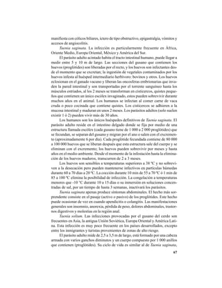 67
manifiesta con cólicos biliares, íctero de tipo obstructivo, epigastralgia, vómitos y
accesos de angiocolitis.
Taenia saginata. La infección es particularmente frecuente en África,
Oriente Medio, Europa Oriental, México y América del Sur.
El parásito adulto acintado habita el tracto intestinal humano, puede llegar a
medir entre 5 y 10 m de largo. Las secciones del gusano que contienen los
huevos (proglótides) son liberadas por el recto, y los huevos son infectantes des-
de el momento que se excretan; la ingestión de vegetales contaminados por los
huevos infesta al huésped intermediario herbívoro: bovinos y otros. Los huevos
eclosionan en el ganado vacuno y liberan las oncosferas embrionarias que inva-
den la pared intestinal y son transportadas por el torrente sanguíneo hasta los
músculos estriados, al los 2 meses se transforman en cisticercos, quistes peque-
ños que contienen un único escólex invaginado, estos pueden sobrevivir durante
muchos años en el animal. Los humanos se infectan al comer carne de vaca
cruda o poco cocinada que contiene quistes. Los cisticercos se adhieren a la
mucosa intestinal y maduran en unos 2 meses. Los parásitos adultos (solo suelen
existir 1 ó 2) pueden vivir más de 30 años.
Los humanos son los únicos huéspedes definitivos de Taenia saginata. El
parásito adulto reside en el intestino delgado donde se fija por medio de una
estructura llamada escólex (cada gusano tiene de 1 000 a 2 000 proglótides) que
se fecundan, se separan del gusano y migran por el ano o salen con el excremen-
to (aproximadamente 6 por día). Cada proglótide fecundada contiene de 80 000
a 100 000 huevos que se liberan después que esta estructura sale del cuerpo y se
eliminan con el excremento; los huevos pueden sobrevivir por meses y hasta
años en el medio ambiente. Desde el momento de la infestación hasta la elimina-
ción de los huevos maduros, transcurren de 2 a 3 meses.
Los huevos son sensibles a temperaturas superiores a 38 ºC y no sobrevi-
ven a la desecación pero pueden mantenerse infectivos en partículas húmedas
durante 60 a 70 días a 20 ºC. La cocción durante 10 min de 55 a 70 ºC ó 1 min de
85 a 100 ºC elimina la posibilidad de infección. La congelación a temperaturas
menores que -10 °C durante 10 a 15 días o su inmersión en soluciones concen-
tradas de sal, por un tiempo de hasta 3 semanas, inactivará los parásitos.
Taenia saginata apenas produce síntomas abdominales. El hecho más sor-
prendente consiste en el pasaje (activo o pasivo) de los proglótides. Este hecho
puede ocasionar de vez en cuando apendicitis o colangitis. Las manifestaciones
generales son insomnio, anorexia, pérdida de peso, dolores abdominales, trastor-
nos digestivos y molestias en la región anal.
Taenia solium. Las infecciones provocadas por el gusano del cerdo son
frecuentes en Asia, la antigua Unión Soviética, Europa Oriental y América Lati-
na. Esta infección es muy poco frecuente en los países desarrollados, excepto
entre los inmigrantes y turistas provenientes de zonas de alto riesgo.
El parásito adulto mide de 2,5 a 3,5 m de largo, está formado por una cabeza
armada con varios ganchos diminutos y un cuerpo compuesto por 1 000 anillos
que contienen (proglótides). Su ciclo de vida es similar al de Taenia saginata,
 