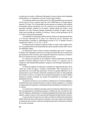68
excepto que los cerdos, a diferencia del ganado vacuno, actúan como huéspedes
intermediarios. La incubación varía de 2 meses hasta 30 años.
Los parásitos adultos presentan menos de 1 000 proglótides que son menos
activos que en Taenia saginata cada uno con 50 000 huevos; la longevidad es
superior a 25 años. No se desarrollan exclusivamente en humanos sino también
en animales (monos, marmotas, etc.). EL cisticerco no se desarrolla tan solo en
músculos estriados, también en el cerebro y demás tejidos de cerdos y otros
animales. Los seres humanos pueden desarrollar la teniasis al ingerir carne de
cerdo mal cocinada que contiene el cisticerco. Taenia solium permanece de 10
a 25 años en la persona parasitada.
Las medidas de control para ambas teniasis incluyen el saneamiento básico
y la cocción adecuada de la carne. Los cisticercos en los músculos son
termosensibles y pierden su viabilidad por cocción a 76,7 ºC durante 30 min o
congelación 4 días a -5 ºC ó 12 h a -20 ºC.
La infección provocada por el gusano adulto no suele causar ningún sínto-
ma. Las grandes infecciones producidas por quistes pueden causar dolor muscu-
lar, debilidad y fiebre.
La teniasis por Taenia solium es menos sintomática que la de T. saginata.
El hecho más importante consiste en el riesgo del desarrollo de la cisticercosis
que puede provocar la muerte, por lo general cuando los cisticercos se desarro-
llan en el sistema nervioso central (neurocisticercosis).
La cisticercosis humana es una auténtica zoonosis parasitaria, producida
cuando el humano alberga la larva de Taenia solium o T. saginata, este se
comporta como huésped intermediario, aunque el ciclo biológico del parásito se
interrumpe.
La forma de adquirir la infección es mediante la ingestión del huevo de T.
solium por medio de agua o verduras contaminadas. Otro mecanismo es la
autoinfección: en un individuo parasitazo, los huevos quedan adheridos a la re-
gión perianal y con el rascado, el paciente contamina con ellos sus uñas pudiendo
así llevarlos a la boca. Las manos de un portador del parásito con malos hábitos
higiénicos pueden contagiar por pasaje de proglótides al estómago o por
peristaltismo inverso.
Al ingerirse los huevos, sus envolturas se deshacen en el intestino delgado y
el embrión atraviesa la pared intestinal, invade el torrente sanguíneo y se localiza
en alguna parte del organismo, teniendo particular afinidad por el sistema nervio-
so central.
La cisticercosis cerebral se presenta como convulsiones, hipertensión cere-
bral o pseudotumores y problemas psíquicos. Además de estas, existen las cisti-
cercosis oftálmica y diseminada. Los síntomas dependen de la localización, tamaño,
número, estado evolutivo y de la reacción del huésped a la fijación del cisticerco.
La prevención de neurocercosis radica en abatir la infestación del parásito
adulto (fuente de huevecillos para los animales y personas), detección temprana
y tratamiento de la teniasis, prácticas de higiene personal y eliminación sanitaria
de excretas humanas.
 