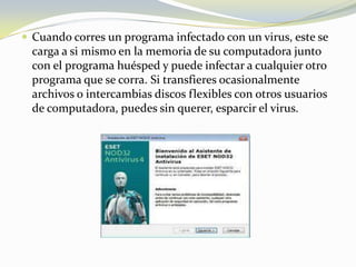 Cuando corres un programa infectado con un virus, este se carga a si mismo en la memoria de su computadora junto con el programa huésped y puede infectar a cualquier otro programa que se corra. Si transfieres ocasionalmente archivos o intercambias discos flexibles con otros usuarios de computadora, puedes sin querer, esparcir el virus.