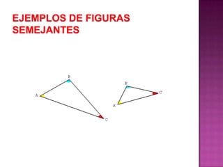 Ejemplos de figuras semejantes