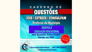 Temas Educacionais - Didática e Legislação Educacional (Aula 01).pdf