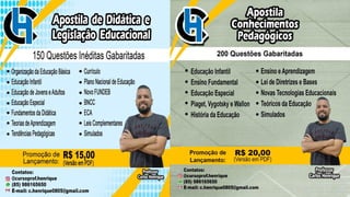 Temas Educacionais - Didática e Legislação Educacional (Aula 01).pdf