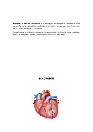 El sistema o aparato circulatorio es el encargado de transportar, llevándolas en la
sangre, las sustancias nutritivas y el oxígeno por todo el cuerpo, para que, finalmente,
estas sustancias lleguen a las células.
También tiene la misión de transportar ciertas sustancias de desecho desde las células
hasta los pulmones o riñones, para luego ser eliminadas del cuerpo.
EL CORAZÓN
 