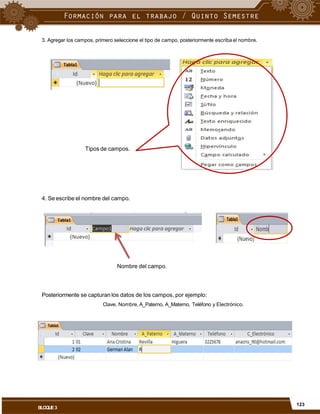 3. Agregar los campos, primero seleccione el tipo de campo, posteriormente escriba el nombre.
Tipos de campos.
4. Se escribe el nombre del campo.
Nombre del campo.
Posteriormente se capturan los datos de los campos, por ejemplo:
Clave, Nombre, A_Paterno, A_Materno, Teléfono y Electrónico.
123
BLOQUE3
 