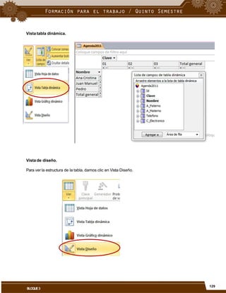 Vista tabla dinámica.
Vista de diseño.
Para ver la estructura de la tabla, damos clic en Vista Diseño.
129
BLOQUE3
 