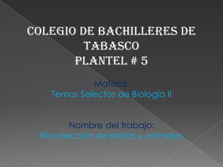 Colegio de bachilleres de tabasco Plantel # 5 Materia: Temas Selectos de Biología II Nombre del trabajo: Recolección de platas y animales 