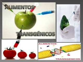 Temas selectos de biologia