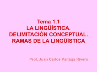 Tema 1.1
LA LINGÜÍSTICA.
DELIMITACIÓN CONCEPTUAL.
RAMAS DE LA LINGÜÍSTICA
Prof. Juan Carlos Pantoja Rivero
 