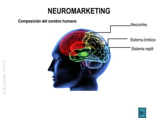 NEUROMARKETING
Composición del cerebro humano

Neocortex
Sistema límbico

José Loaiza Torres

Sistema reptil

 