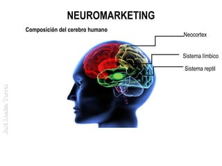 NEUROMARKETING
Composición del cerebro humano

Neocortex
Sistema límbico

José Loaiza Torres

Sistema reptil

 