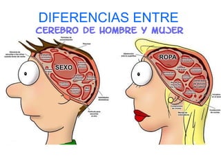 José Loaiza Torres

DIFERENCIAS ENTRE

 