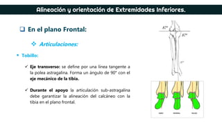 Angulo Tobillo Tema traumatología. Deformidades del pie, ejes del cuerpo. | PPTX