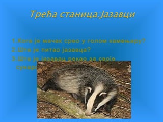 1.Кога је мачак срео у голом камењару?
2.Шта је питао јазавца?
3.Шта је јазавац рекао за своје
сународнике?
 
