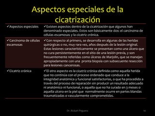 Fases de la cicatrización [2] 6Dr. Rickart Peguero