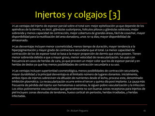 Úlceras  12Dr. Rickart Peguero