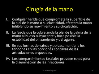 Úlceras  14Dr. Rickart Peguero